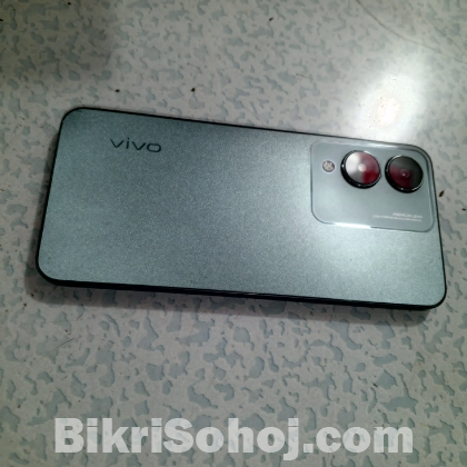 Vivo y17s